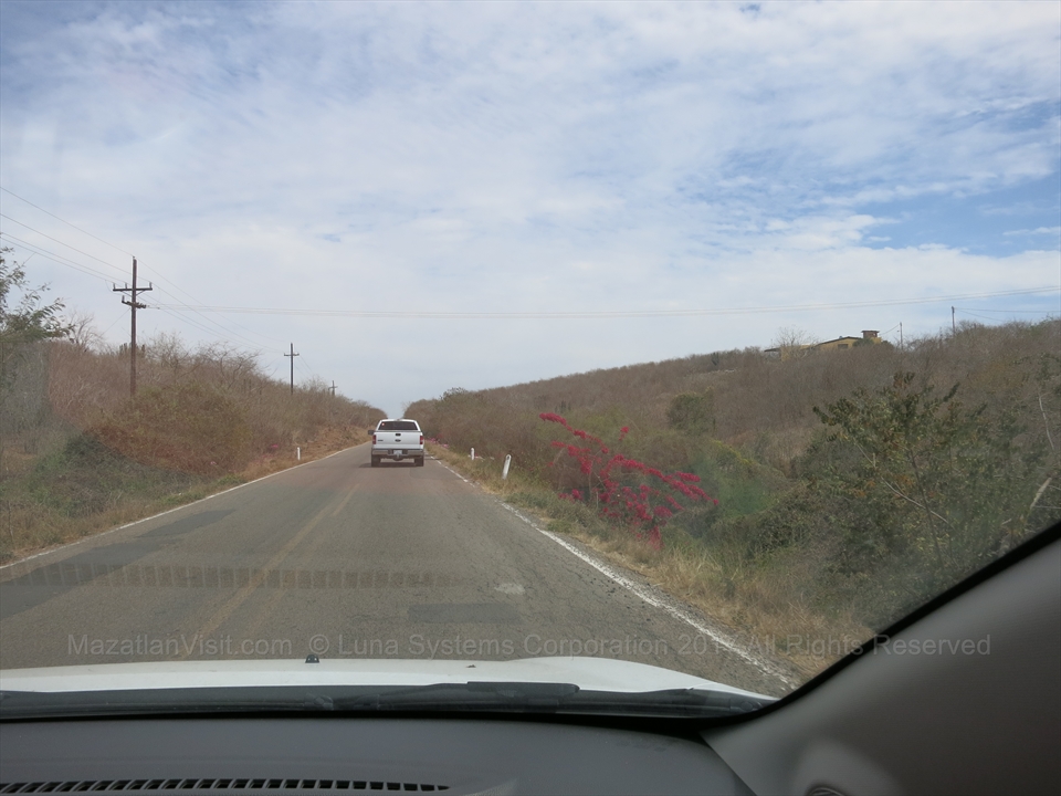 The scenic tree lined road heading to El Quelite village