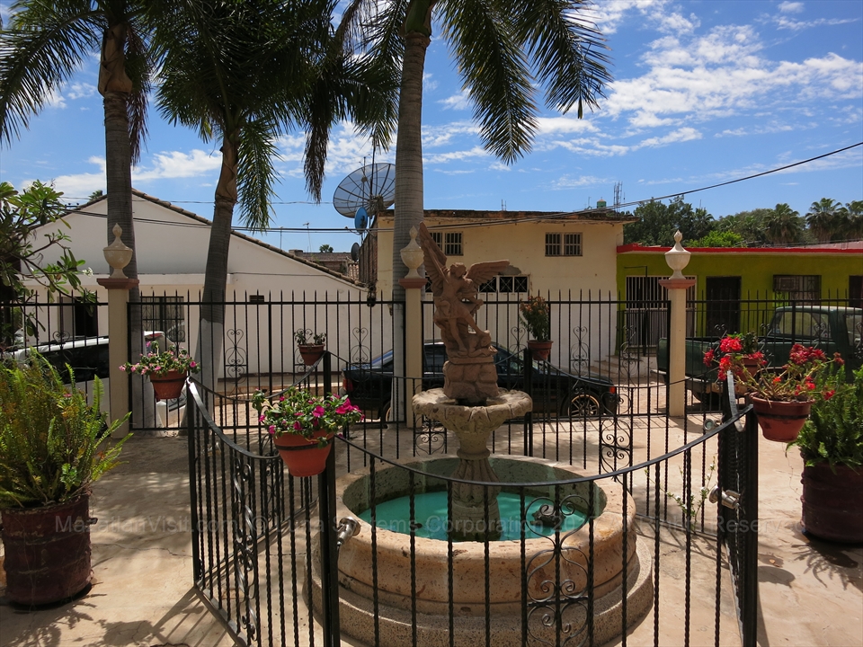Stunning bougainvillea flowers draping over a colonial iron gate