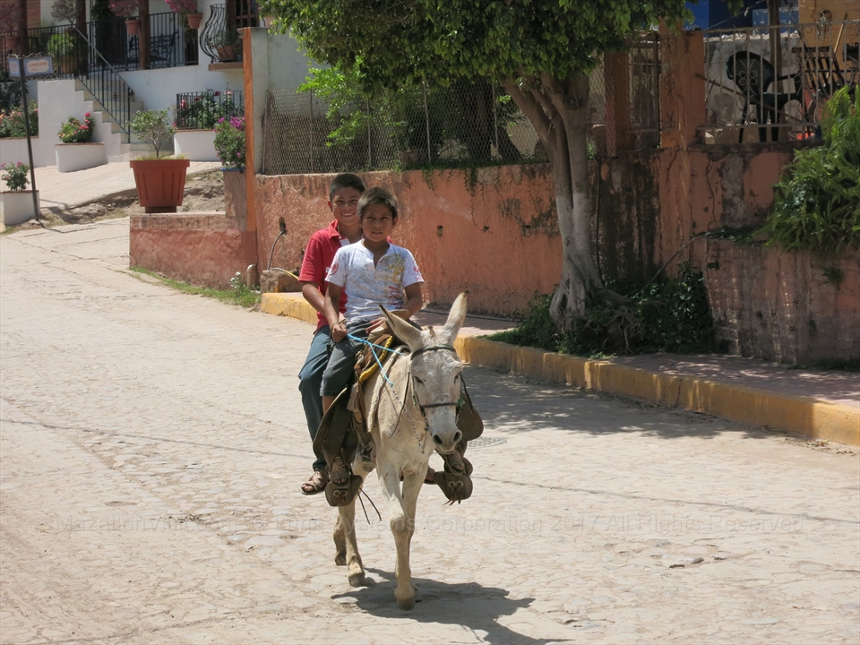 A young boy riding a traditional working donkey down the cobblestone streets of El Quelite