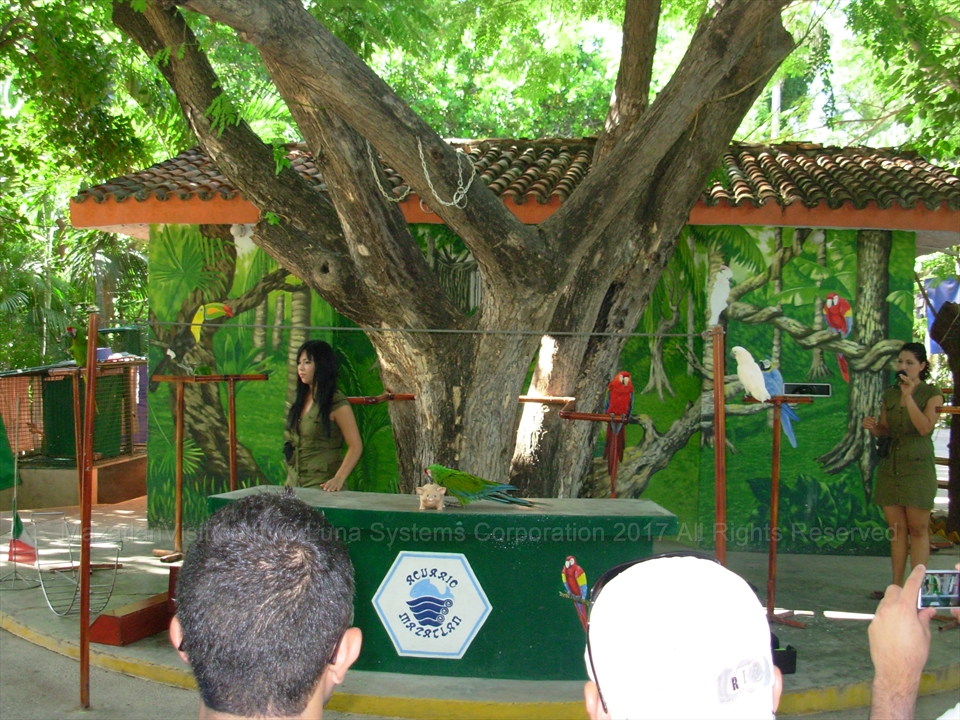 Caiman and alligator habitat at the old aquarium