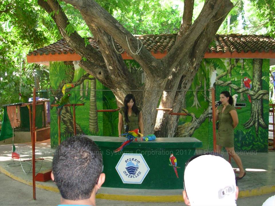 Legacy Mazatlán Aquarium exhibit photo
