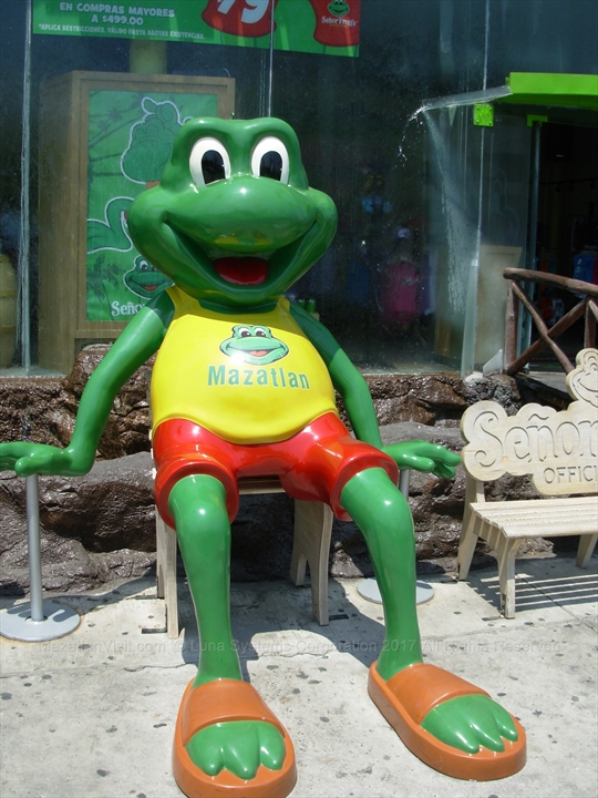 Senor Frogs Archive