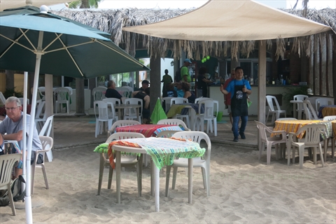 Beachfront palm trees and wooden deck at Surfs Up Beach Cafe