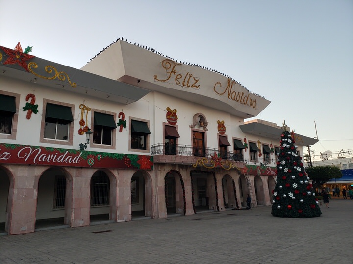A towering illuminated Christmas tree erected in the center of the square