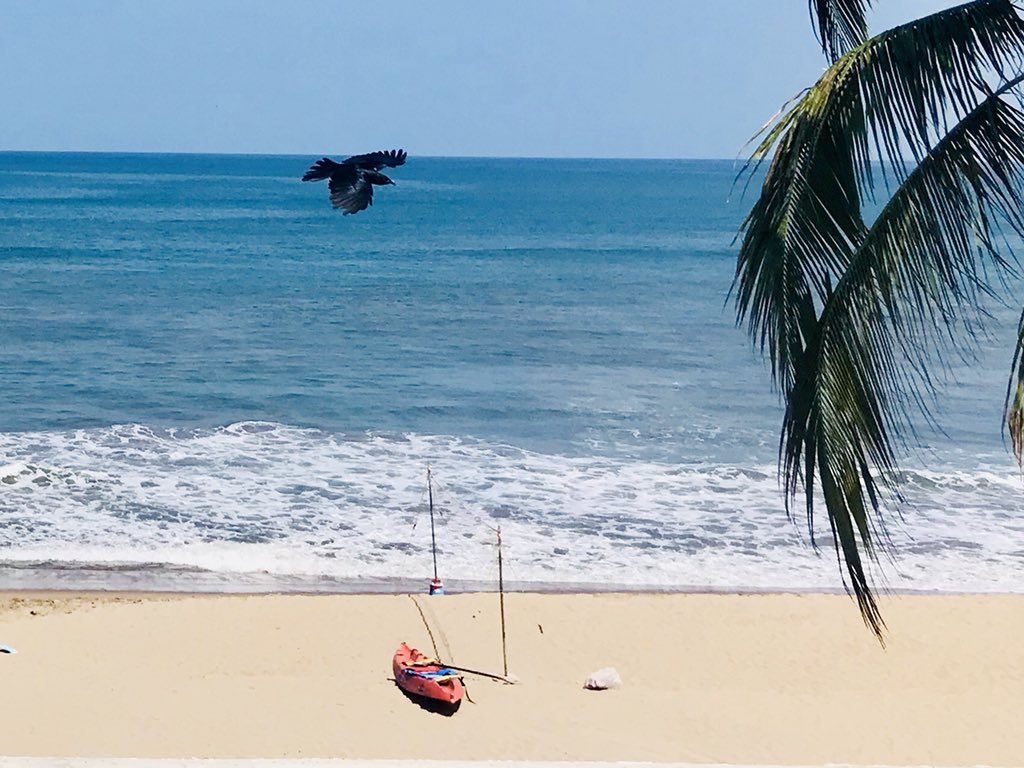 Kayaking in Mazatlán, Sinaloa, Mexico