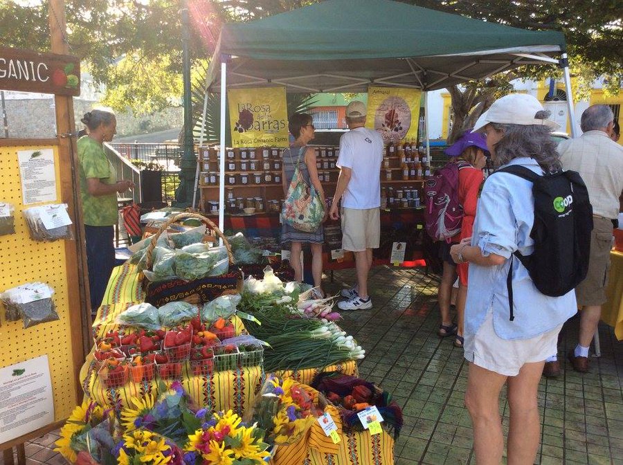 Local vendors displaying organic artisanal breads and greens at an open air market square