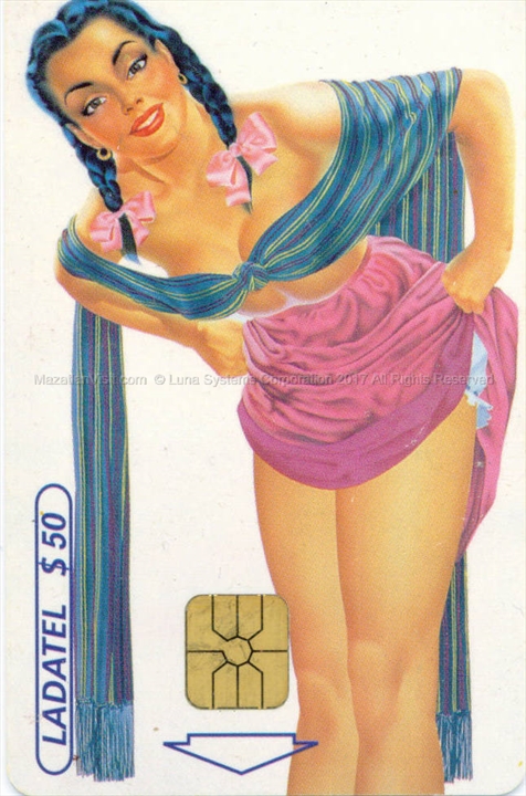 Prepaid Telmex phone card featuring Mexican wildlife