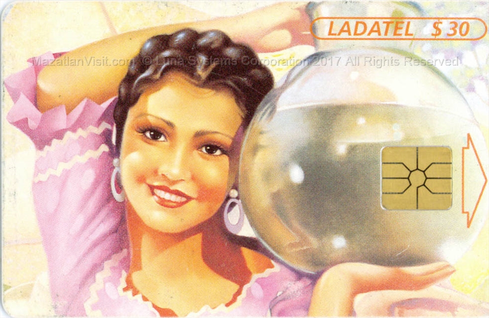 Prepaid Telmex phone card featuring tropical flowers