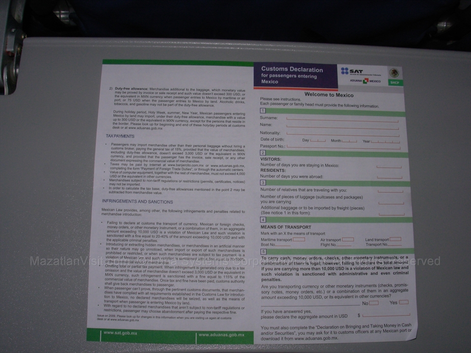 Official Mexican customs declaration document form layout